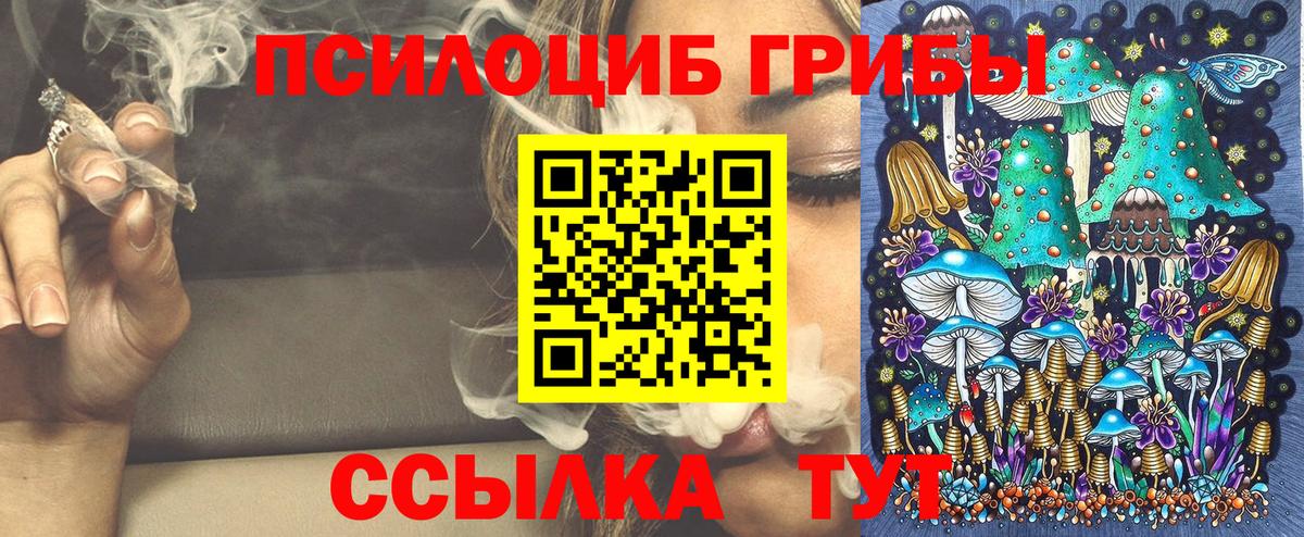 Псилоцибиновые грибы Psilocybine cubensis Муравленко