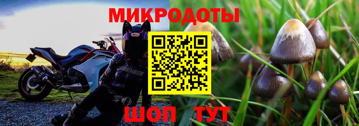 Галлюциногенные грибы Psilocybe  Галлюциногенные грибы MAGIC MUSHROOMS  Вход с VPN  Муравленко 